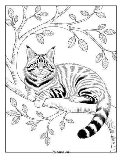 Cat Coloring Page for Adults: A Maine Coon cat perches on a tree branch, surrounded by twisting vines and beautifully detailed leaves