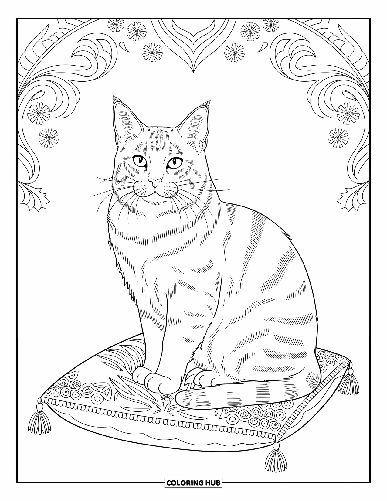 Kleurplaat Kat voor Volwassenen: Een Maine Coon zit elegant bovenop een sierlijk kussen, omringd door delicate patronen en bloemmotieven