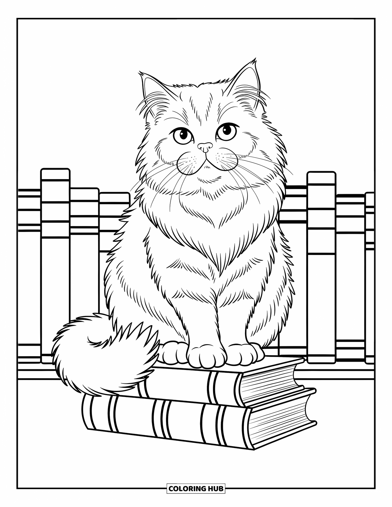 Kleurplaat Kat voor Kinderen: Een pluizige kat zit sierlijk op een plank met antieke boeken, met delicate patronen die charme toevoegen aan de scène