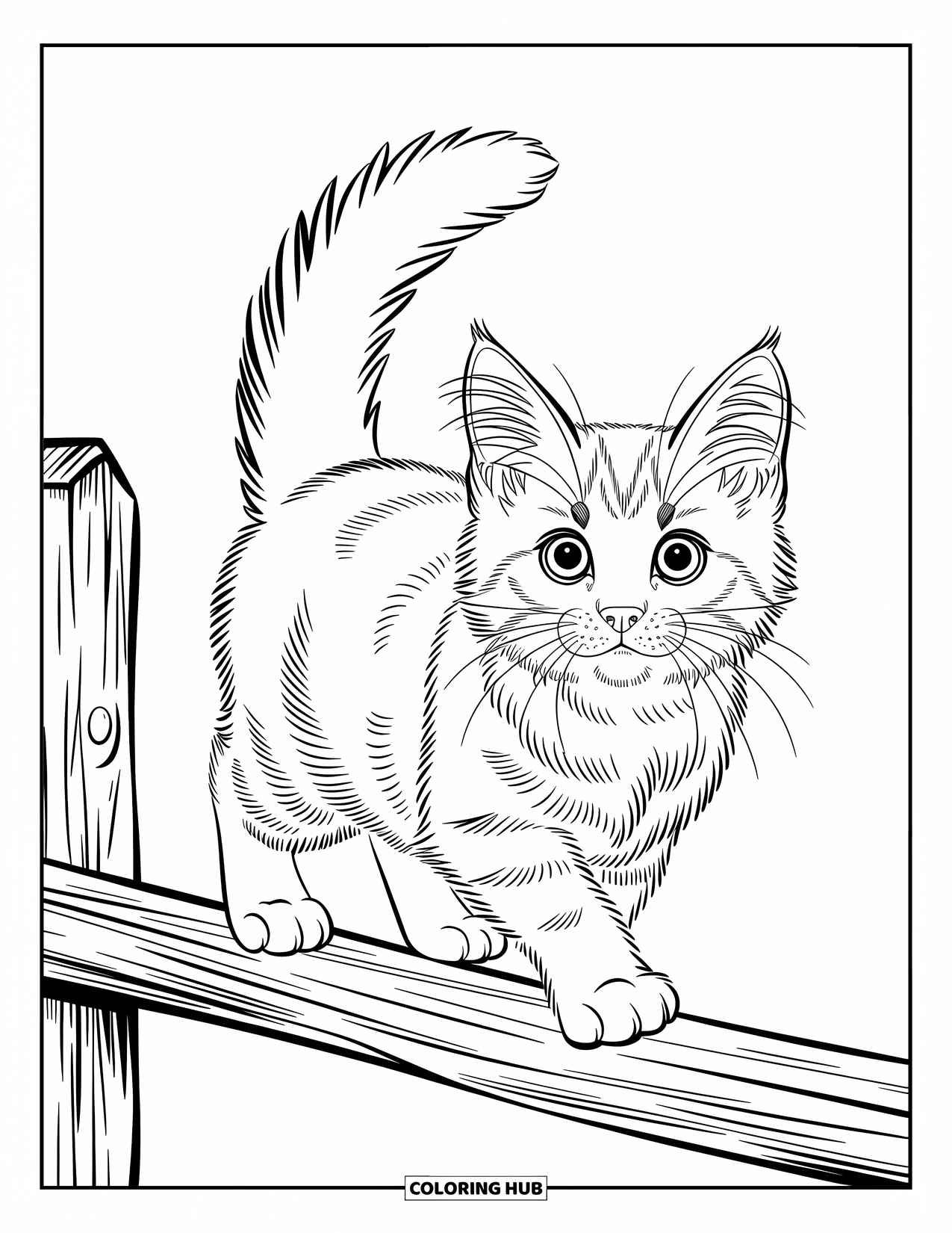 Kleurplaat Kat voor Kinderen: Een pluizig kitten dartelt over een hek, zijn staart hoog geheven van nieuwsgierigheid en speelsheid