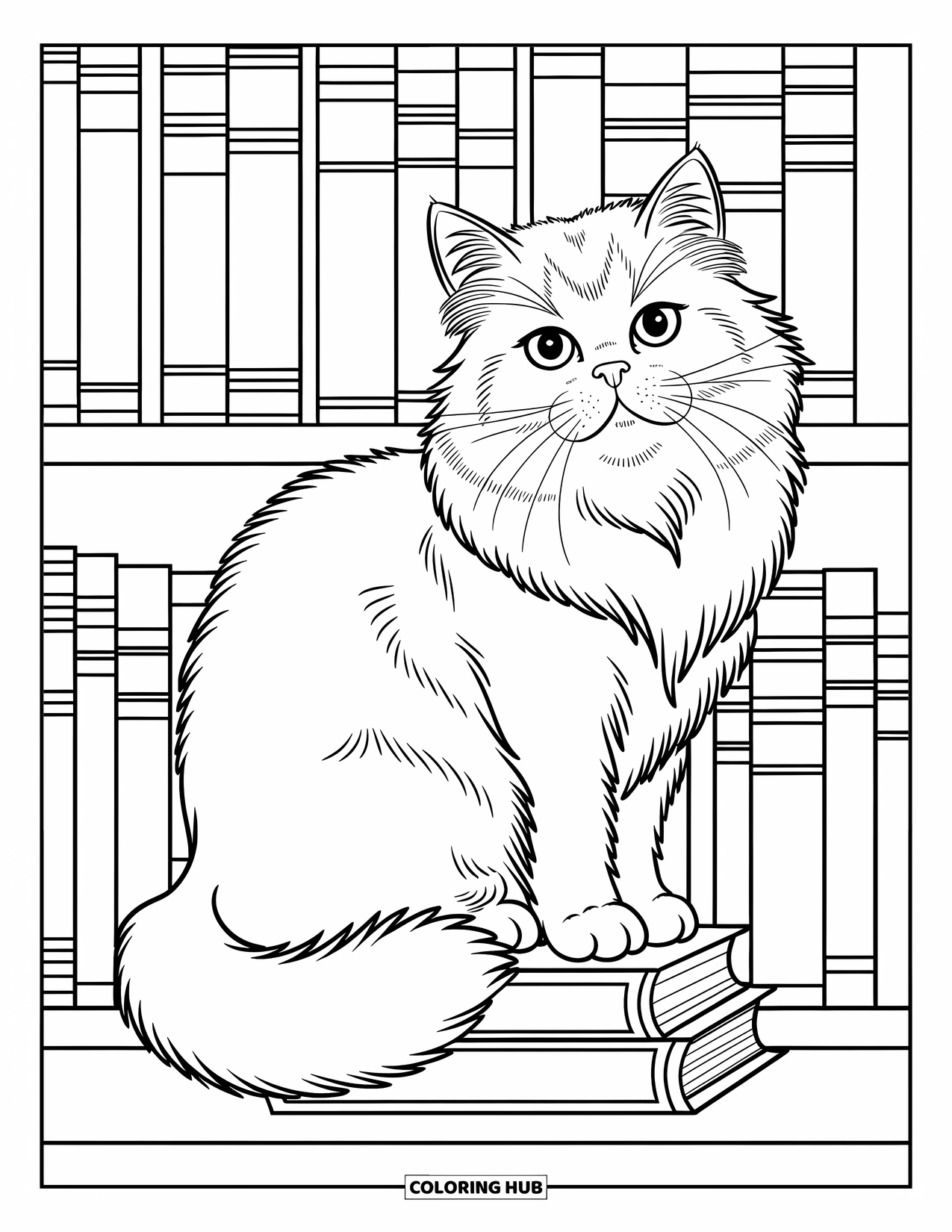 Kleurplaat Kat voor Kinderen: Een pluizige Perzische kat ligt op een boekenplank, zijn staart krult om vintage boeken in een gezellige omgeving