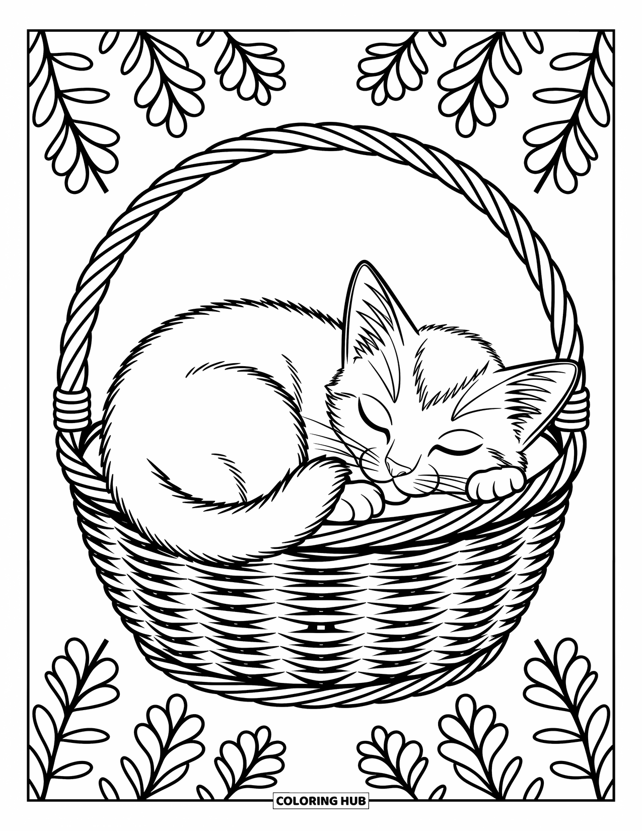 Kleurplaat Kat voor Kinderen: Een kitten slaapt in een gezellig mandje, zijn kleine poten onder zijn kin gestopt