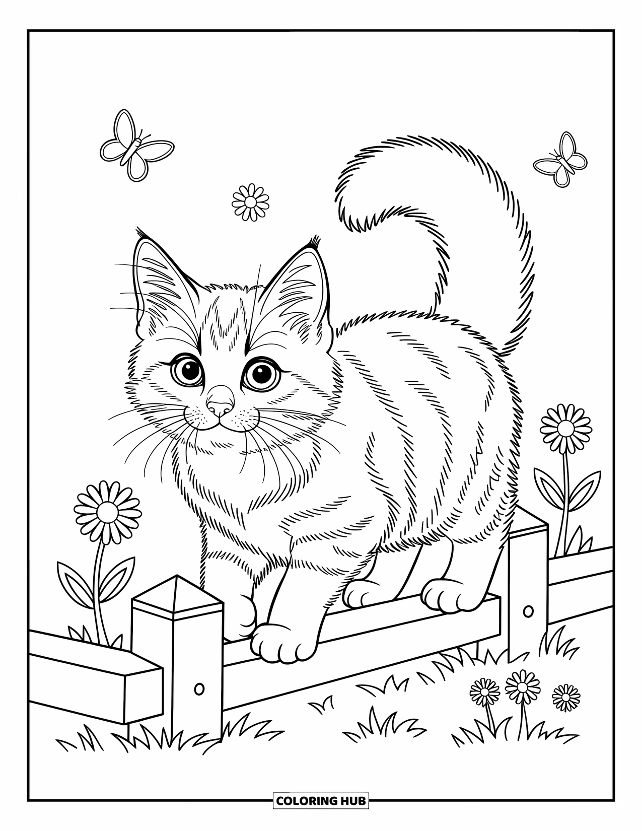 Kleurplaat Kat voor Kinderen: Een Maine Coon kitten balanceert sierlijk op een rustiek hek, omlijst door eenvoudige bloemendetails