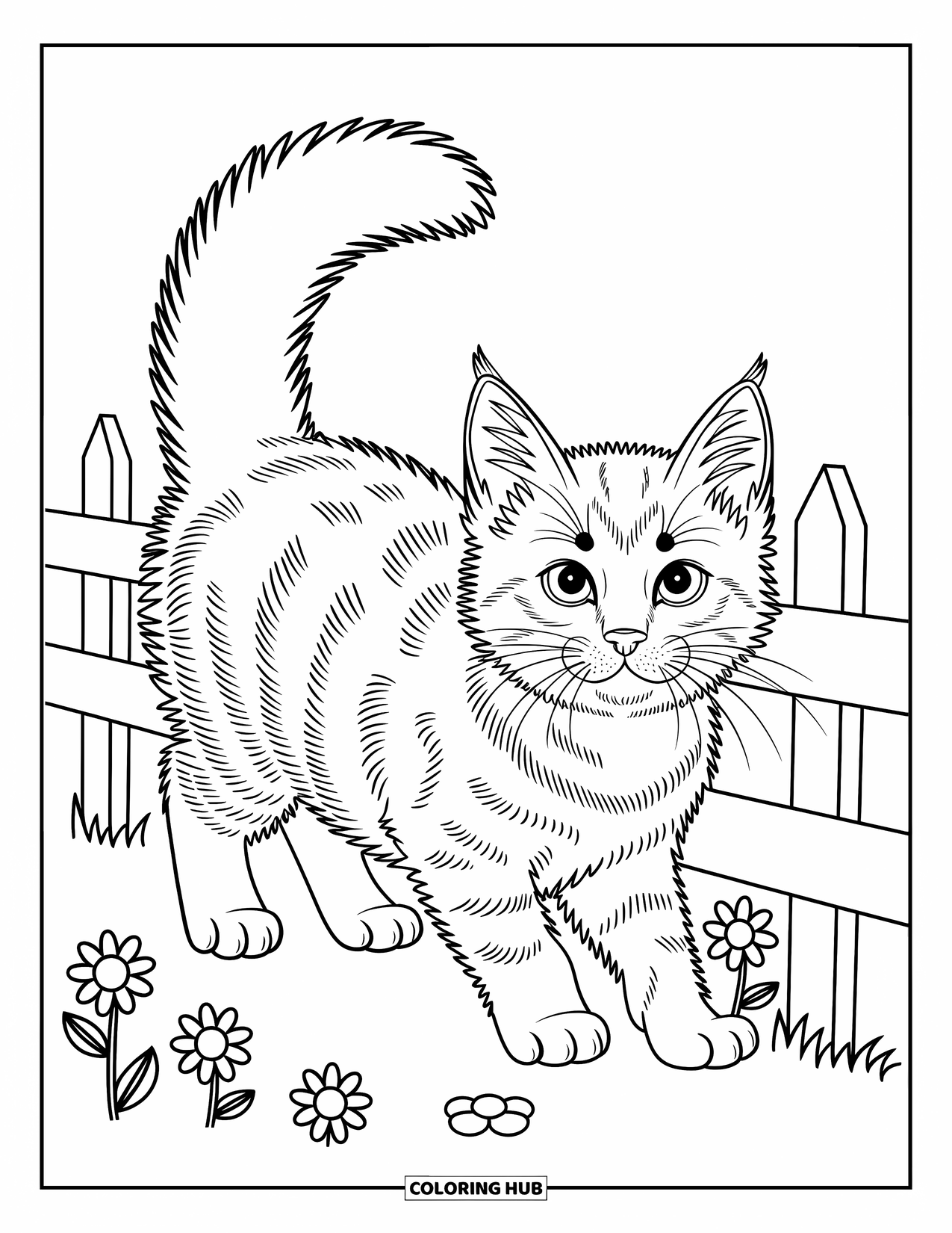 Kleurplaat Kat voor Kinderen: Een Maine Coon-kitten loopt langs een houten hek, omringd door grillige bloemen en bladeren