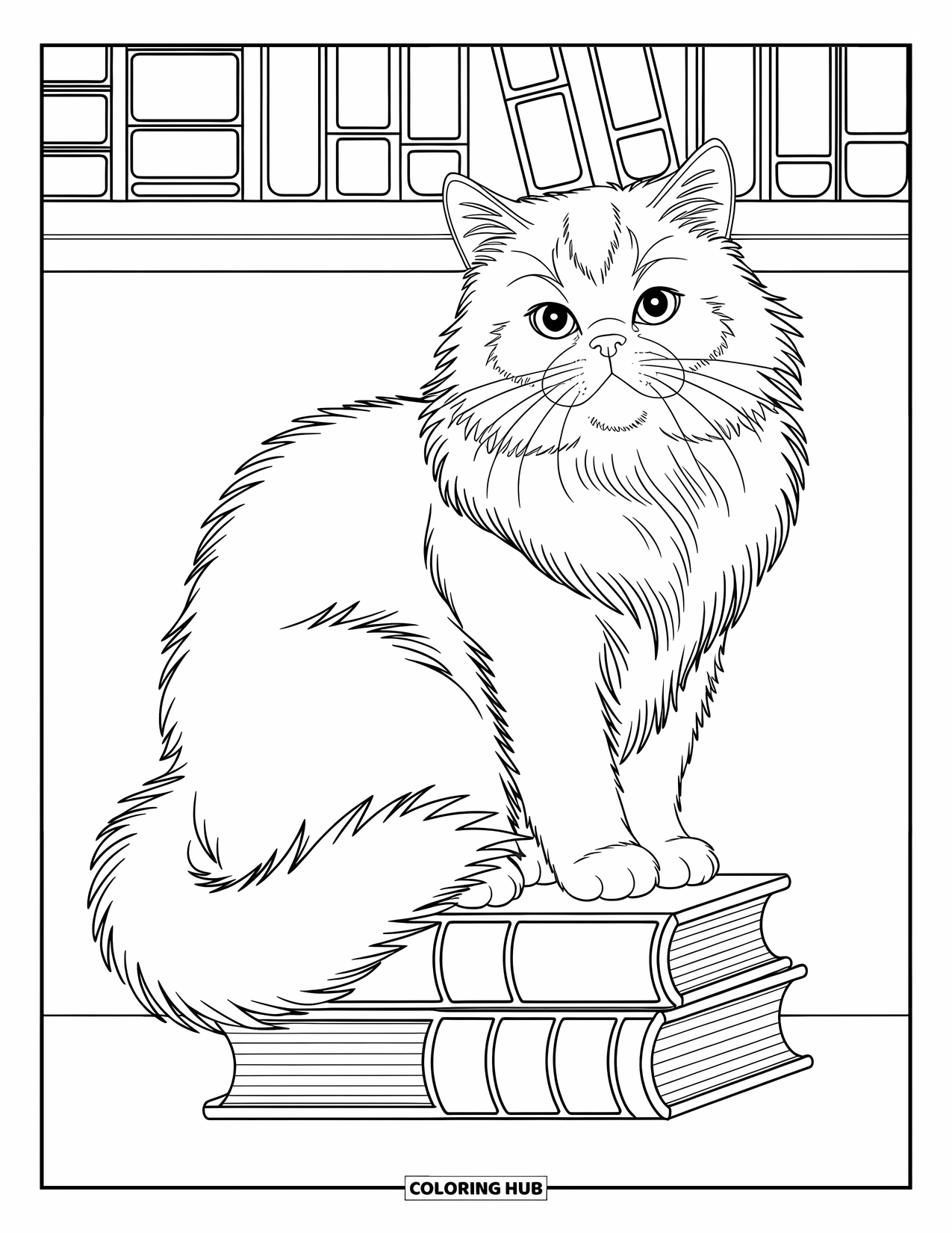 Kleurplaat Kat voor Kinderen: Een Perzische kat zit bovenop een boekenplank, omringd door de ingewikkelde ruggen van oude, prachtig gedetailleerde boeken