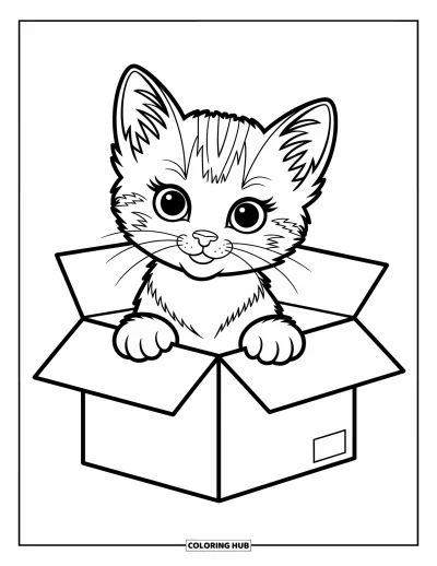 Cat Coloring Page for Kids: A playful kitten sits in a box, gazing out with a mischievous and curious look
