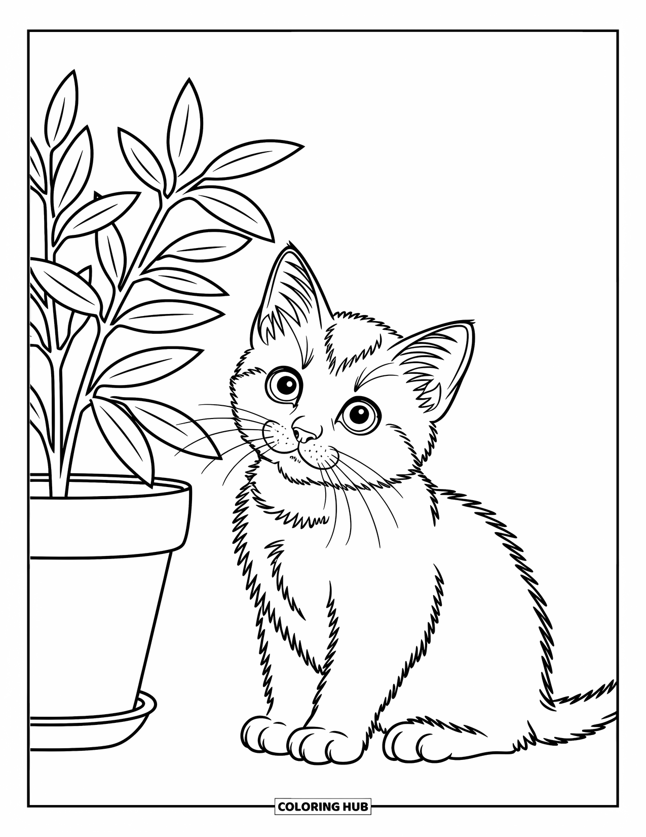 Kleurplaat Kat voor Kinderen: Een Scottish Fold-kitten snuffelt nieuwsgierig aan een potplant, zijn pluizige staart krult om zijn poten