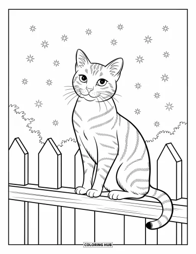 Cat Coloring Page for Kids: A sleek tabby cat sits on a wooden fence, gazing at the twinkling stars above in a peaceful night scene