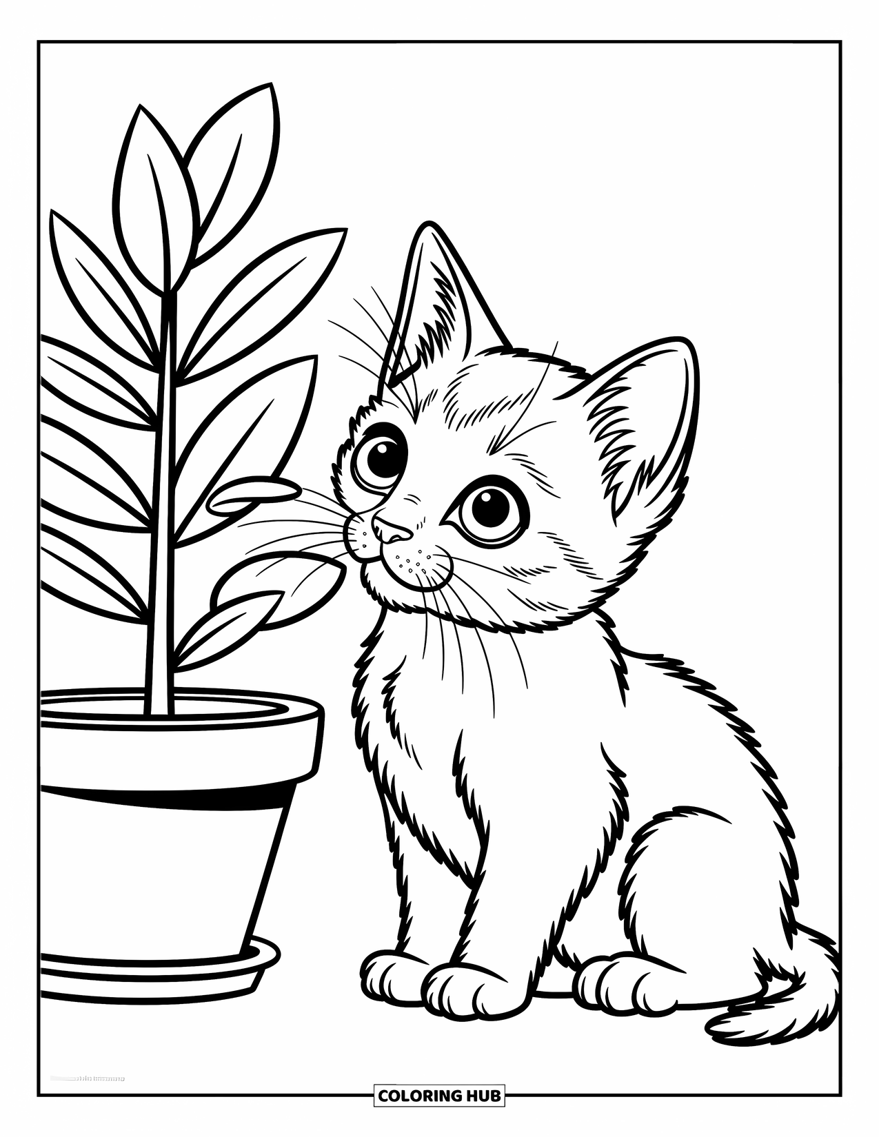 Kleurplaat Kat voor Kinderen: Een klein kitten met gevouwen oren zit naast een potplant, zijn neus dicht bij de delicate bladeren