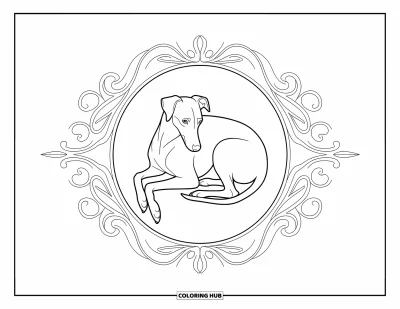 Kolorowanka z psami dla dorosłych: Zwinięty whippet odpoczywa w eleganckiej ramie z wijącymi się pnączami i kwiatowymi motywami