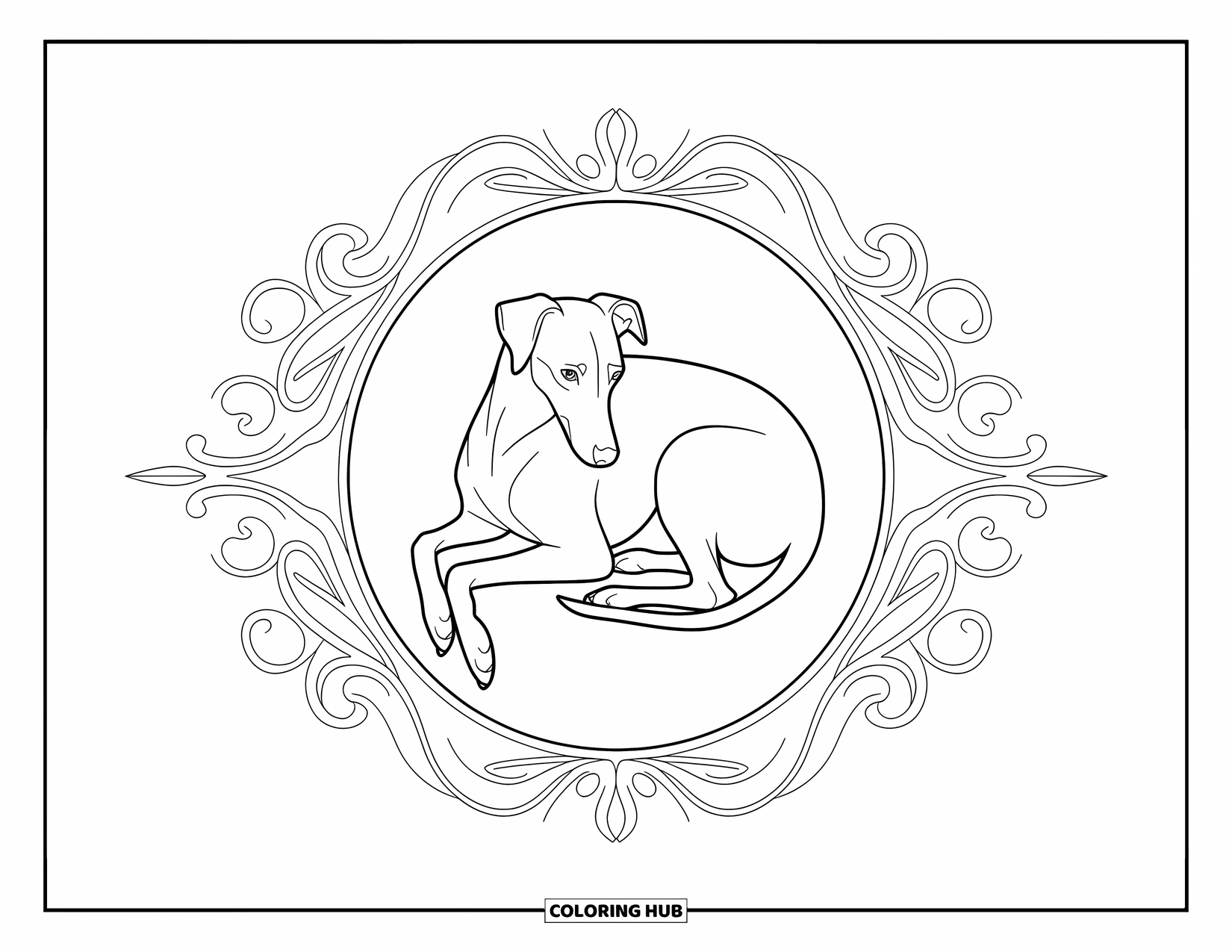 Kolorowanka z psem dla dorosłych: Zwinięty w kłębek Whippet odpoczywa w eleganckiej ramie z wirujących pnączy i motywów kwiatowych