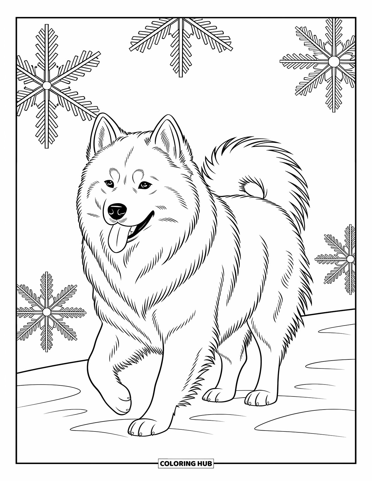 Kolorowanka z psem dla dorosłych: Puszysty Samoyed porusza się wdzięcznie na tle skomplikowanych wzorów płatków śniegu