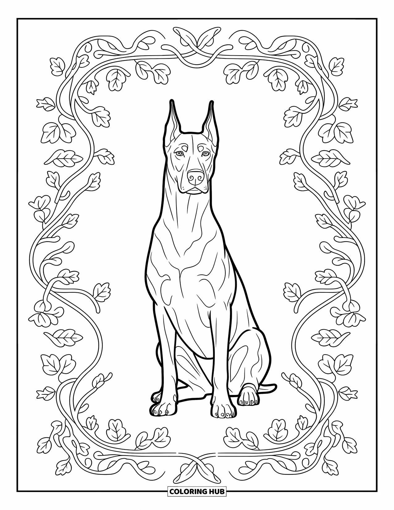 Kolorowanka z psem dla dorosłych: Majestatyczny Doberman siedzi z pewnością siebie w eleganckiej ramce z przeplatających się kwiatowych wzorów
