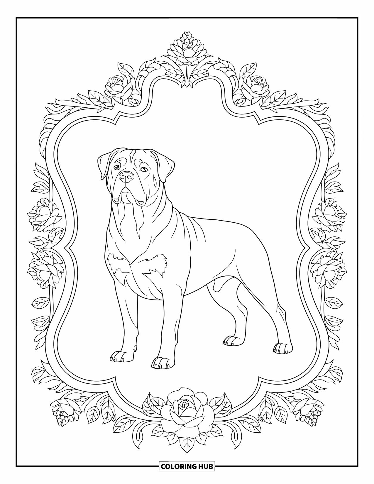 Hunde-Ausmalbild für Erwachsene: Ein edler Rottweiler posiert selbstbewusst, umgeben von komplizierten floralen Mustern im Barockstil