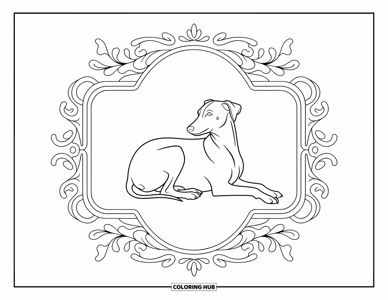 Kolorowanka z psem dla dorosłych: Zrelaksowany Whippet gnieździ się w ozdobnej ramce, otoczony artystycznym filigranem i spiralami