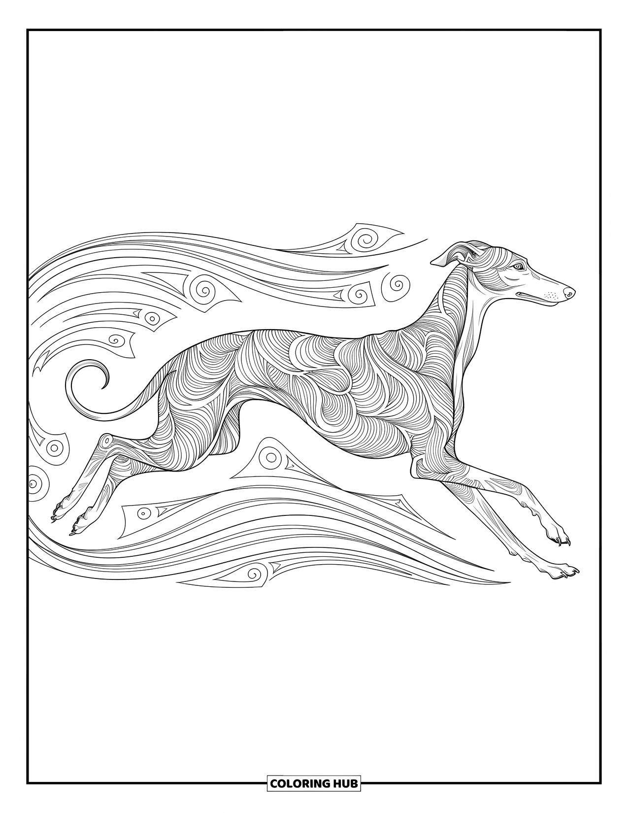 Kolorowanka z psem dla dorosłych: Smukły Greyhound pędzi do przodu, otoczony eleganckimi spiralami i szczegółowymi wzorami ornamentalnymi