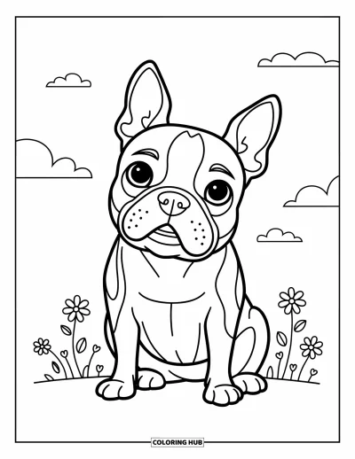 Kolorowanka z psami dla dzieci: Boston terrier siedzi z przekrzywioną głową, otoczony drobnymi kwiatkami i figlarnymi chmurkami