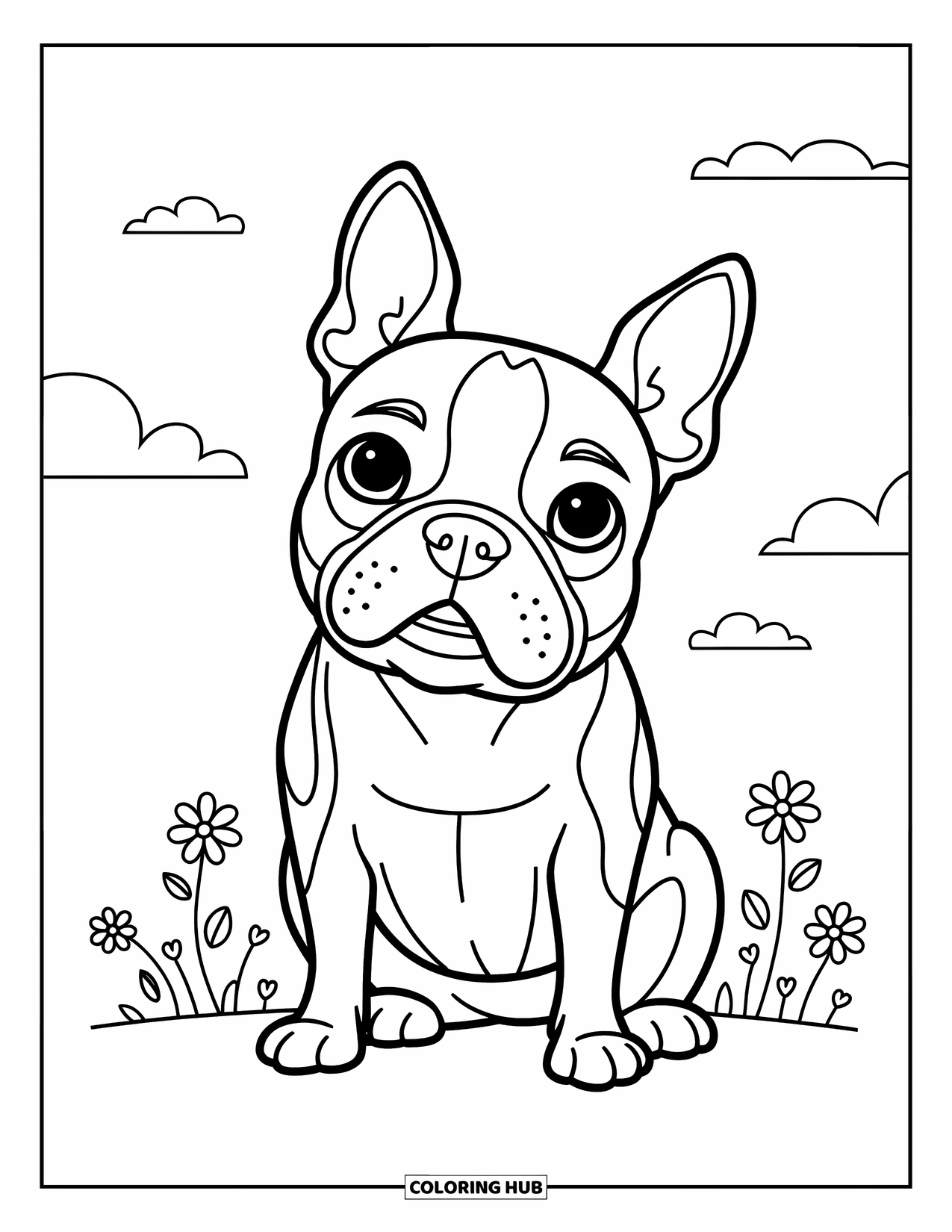 Kolorowanka z psem dla dzieci: Boston Terrier siedzi z przechyloną głową, otoczony drobnymi kwiatami i figlarnymi chmurkami
