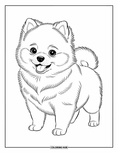 Kolorowanka z psami dla dzieci: Puszysty pomeranian stoi dumnie, a jego nastawione uszy i żywa postawa dodają mu uroku
