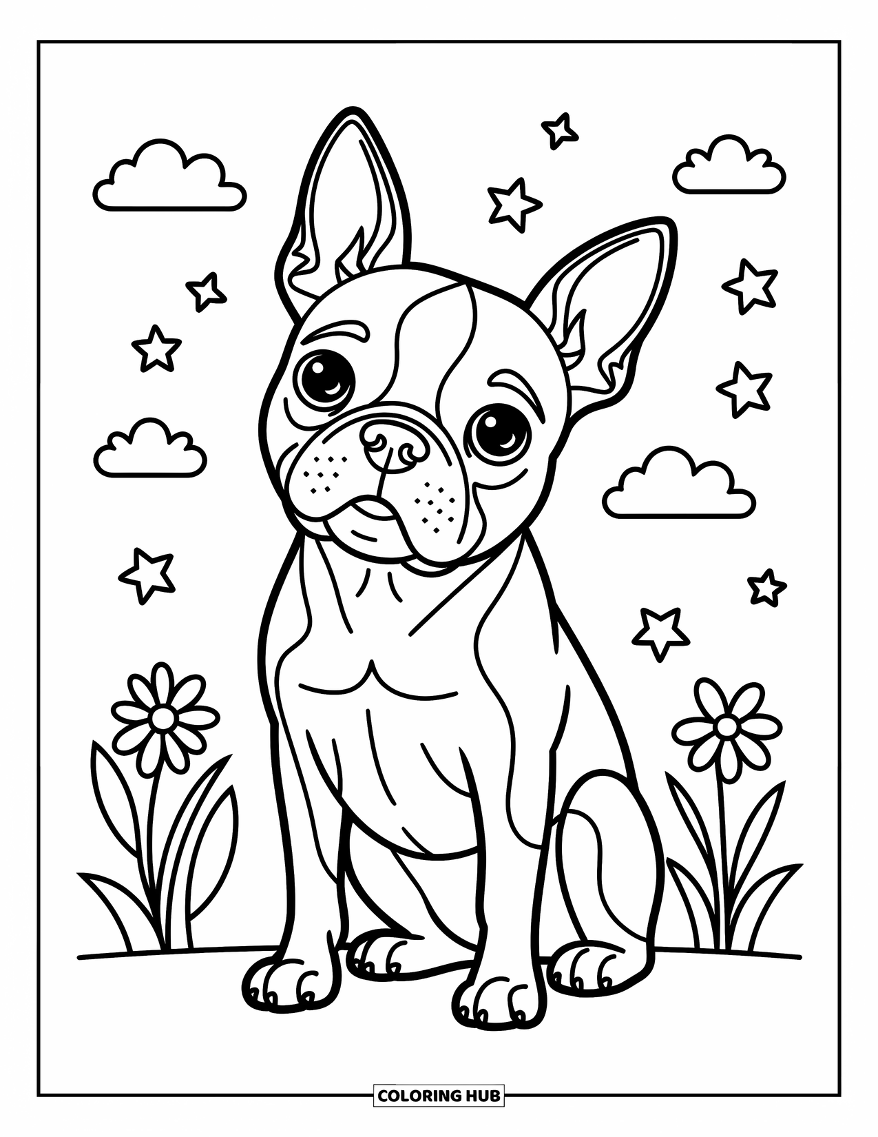 Kolorowanka z psem dla dzieci: Słodki boston terrier patrzy z ciekawością, z nastawionymi uszami, otoczony delikatnymi kwiatami i gwiazdami