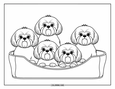 Kolorowanka z psami dla dzieci: Cztery puszyste shih tzu odpoczywają razem, wtulone w proste legowisko