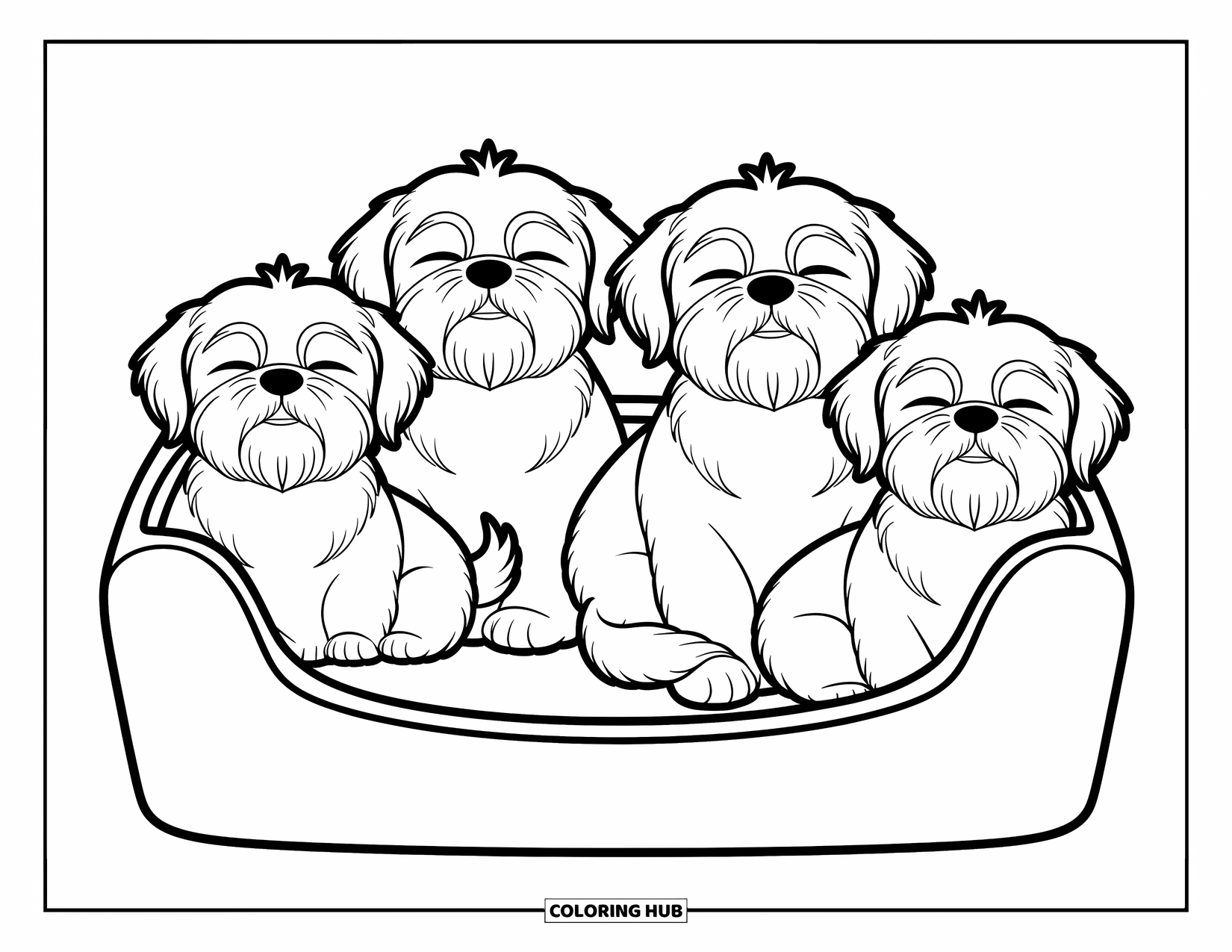 Kolorowanka z psem dla dzieci: Cztery śpiące psy rasy shih tzu zwijają się w kłębek w przytulnym legowisku, z ogonami podkulonymi