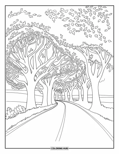 Coloriage d'automne pour adultes : Une route calme serpente dans la forêt, bordée de grands arbres qui laissent tomber des feuilles colorées