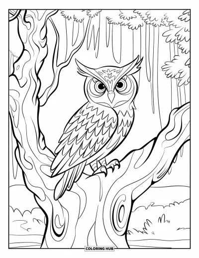 Coloriage d'automne pour enfants : Un hibou mystérieux est assis dans un arbre noueux, veillant sur la forêt sombre