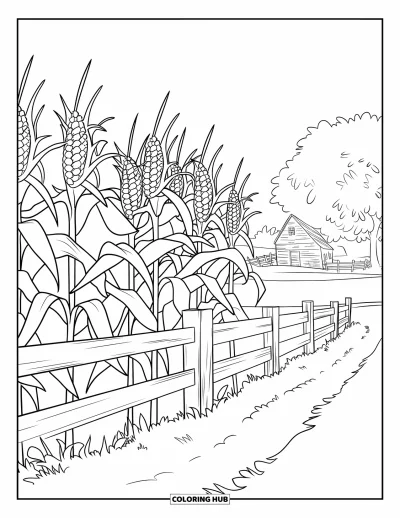 Coloriage d'automne pour enfants : Un haut champ de maïs s'étend vers une ferme rustique derrière une clôture en bois usée
