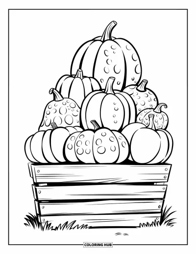 Coloriage d'automne pour enfants : Une caisse en bois déborde de citrouilles empilées et de courges bosselées