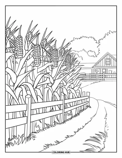 Coloriage d'automne pour enfants : De hautes tiges de maïs dorées se dressent près d'une ferme, entourées d'une clôture en bois