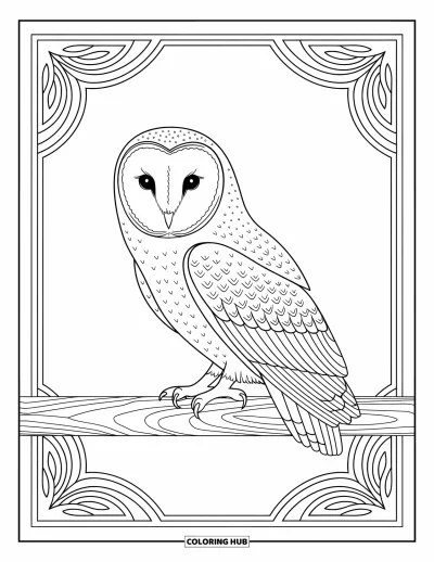 Coloriage d'animaux de la ferme pour adultes : Une chouette effraie est perchée sur une poutre en bois avec des plumes détaillées et des motifs élégants