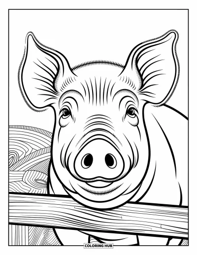 Coloriage d'animaux de la ferme pour adultes : Un visage de cochon en gros plan montre des rides et des poils fins avec une clôture en bois derrière