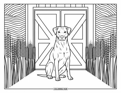 Coloriage d'animaux de la ferme pour adultes : Un chien confiant se repose près d'une porte de grange entourée de blé et de motifs tourbillonnants