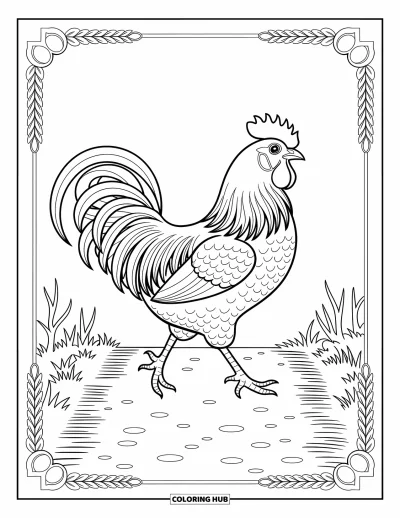 Coloriage d'animaux de la ferme pour adultes : Un coq marche le long d'un chemin bordé de brindilles, de cailloux et de motifs de fond artistiques