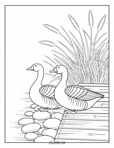 Coloriage d'animaux de la ferme pour adultes : La tête d'un coq avec des motifs de plumes ornés et de délicates bordures géométriques