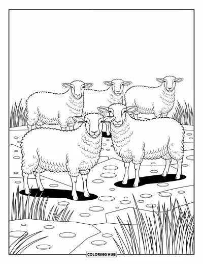 Coloriage d'animaux de la ferme pour adultes : Des moutons avec de la laine bouclée détaillée se tiennent sur un sol accidenté avec des pierres et de l'herbe autour