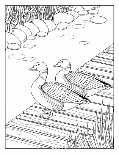 Coloriage d'animaux de la ferme pour adultes : Deux oies se reposent près d'un quai en bois avec des pierres lisses et de hautes herbes à proximité