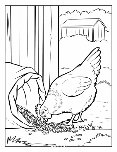 Coloriage d'animaux de la ferme pour enfants : Une poule picore des grains renversés d'un sac près de la porte de la grange