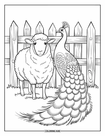 Coloriage d'animaux de la ferme pour enfants : Un mouton bouclé avec un pull se tient avec un paon dans une prairie