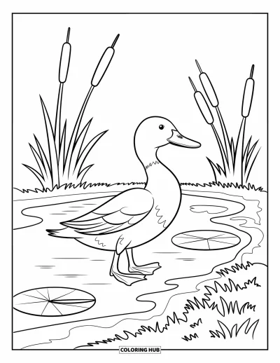 Coloriage d'animaux de la ferme pour enfants : Un canard se dandine près d'un étang avec des quenouilles et des nénuphars à proximité