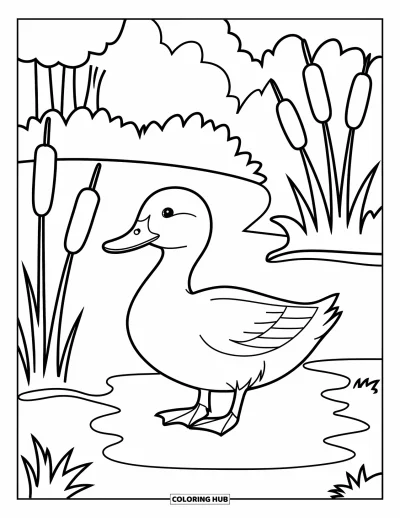 Coloriage d'animaux de la ferme pour enfants : Un canard marche près d'un étang avec des quenouilles, des arbres et un ciel ouvert