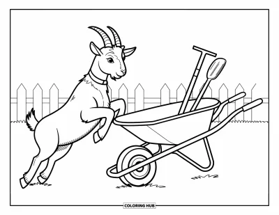 Coloriage d'animaux de la ferme pour enfants : Une chèvre avec des marques noires et un collier saute près d'une brouette et d'une clôture