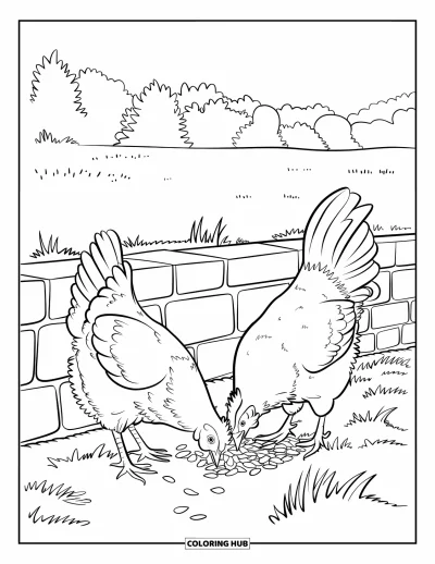 Coloriage d'animaux de la ferme pour enfants : Une poule et un coq se font face, picorant des graines dans un champ herbeux