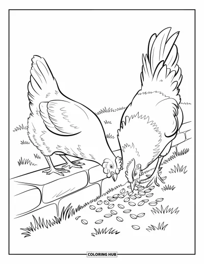 Coloriage d'animaux de la ferme pour enfants : Une poule et un coq picorent des graines près d'un mur de pierre dans un champ