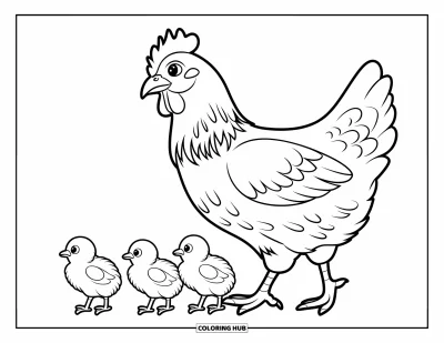 Coloriage d'animaux de la ferme pour enfants : Une poule marche avec trois petits poussins qui la suivent de près