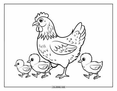 Coloriage d'animaux de la ferme pour enfants : Une grande poule avec de petites pattes marche avec trois poussins qui la suivent de près