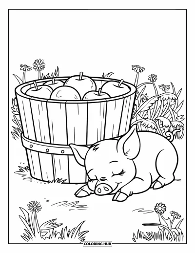 Coloriage d'animaux de la ferme pour enfants : Un porcelet se repose à côté d'un seau en bois rempli de pommes dans un champ herbeux