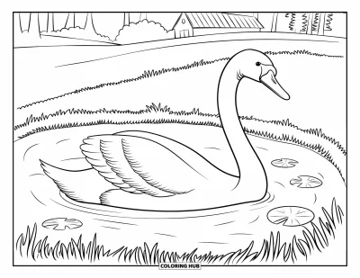 Coloriage d'animaux de la ferme pour enfants : Un cygne avec un long cou glisse dans un étang près d'une grange et d'arbres