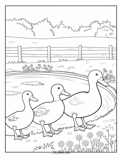 Coloriage d'animaux de la ferme pour enfants : Des canetons suivent leur mère au bord d'un étang entouré d'herbe et de fleurs